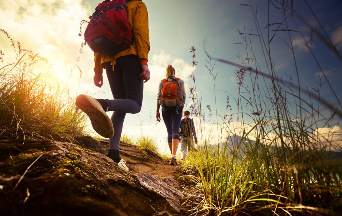 Hiking Safety Tips On ABC 15 News