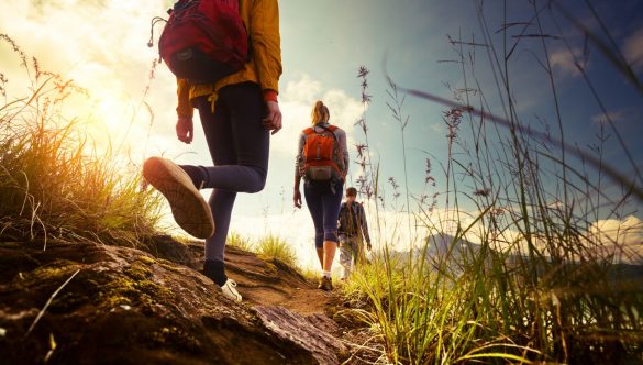 Hiking Safety Tips On ABC 15 News