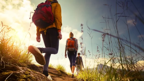 Hiking Safety Tips On ABC 15 News