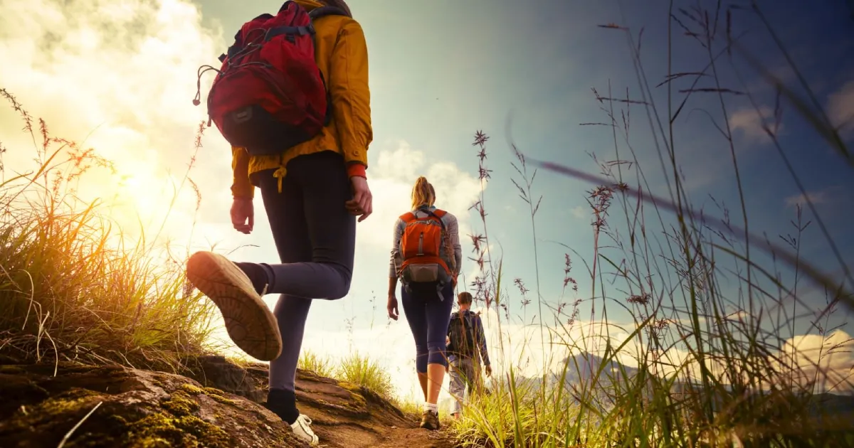 Hiking Safety Tips On ABC 15 News