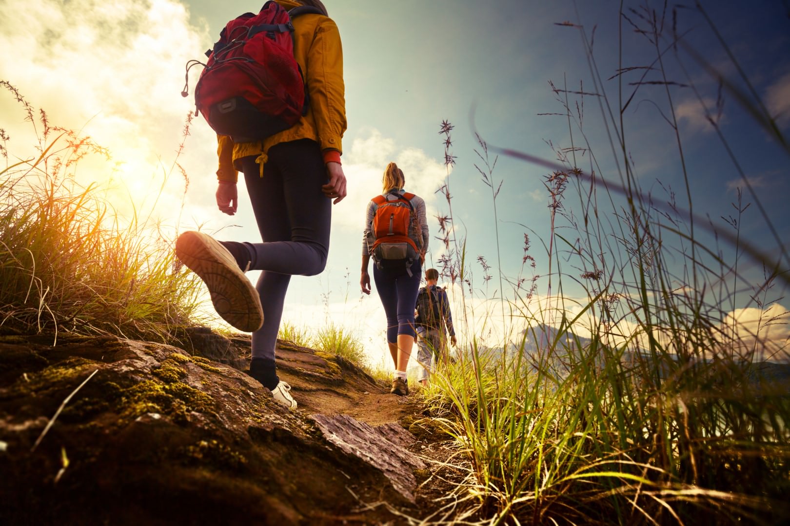 Hiking Safety Tips On ABC 15 News AZ Orthopedic